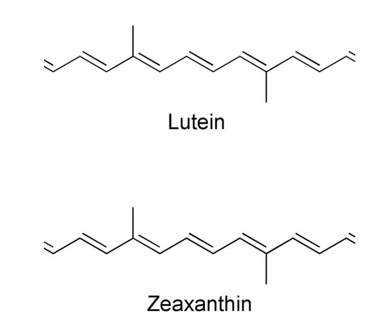루테인 제아잔틴 화학기호