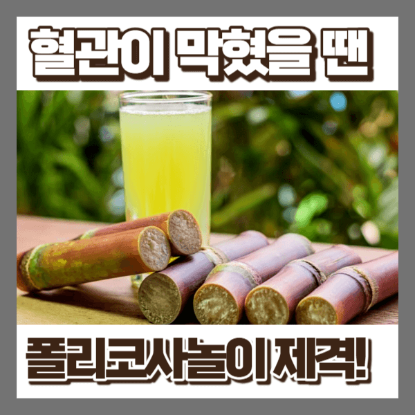 폴리코사놀이 포함된 사탕수수 음료 사진